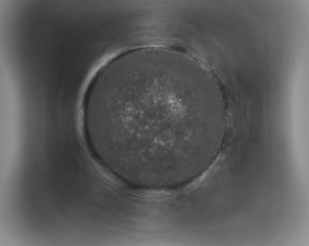X0000113570342200909251139