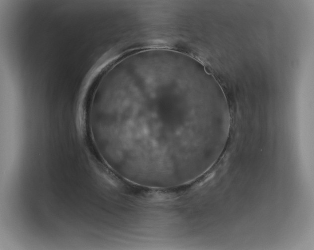 X0000113570343200909251139