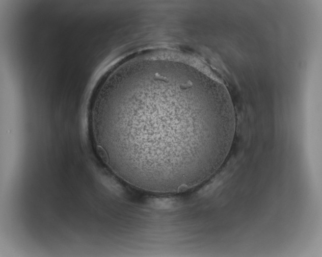 X0000113570344200909251139
