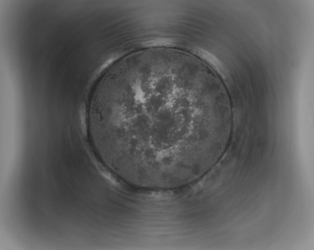 X0000113570345200909251139