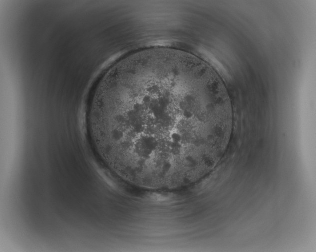 X0000113570346200909251139