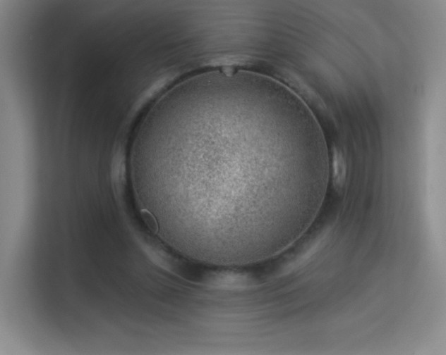 X0000113570348200909251139