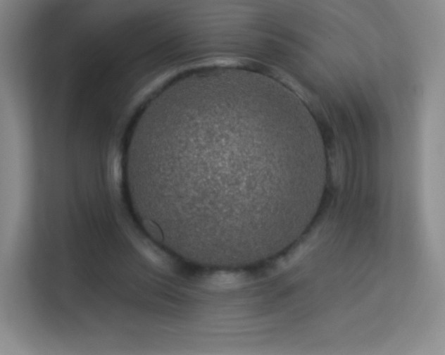 X0000113570350200909251139