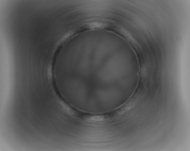 X0000113570353200909251139