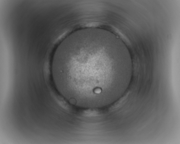 X0000113570354200909251139