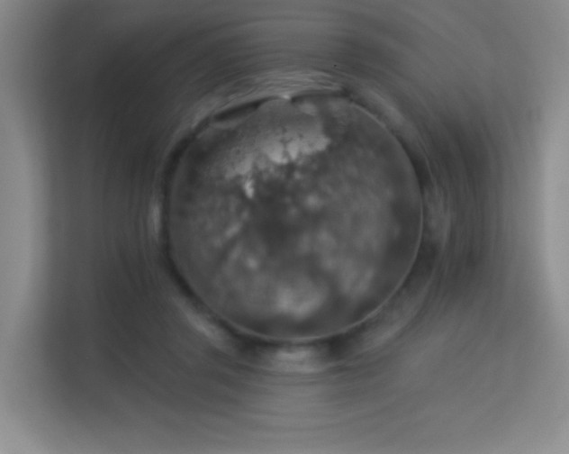 X0000113570357200909251139