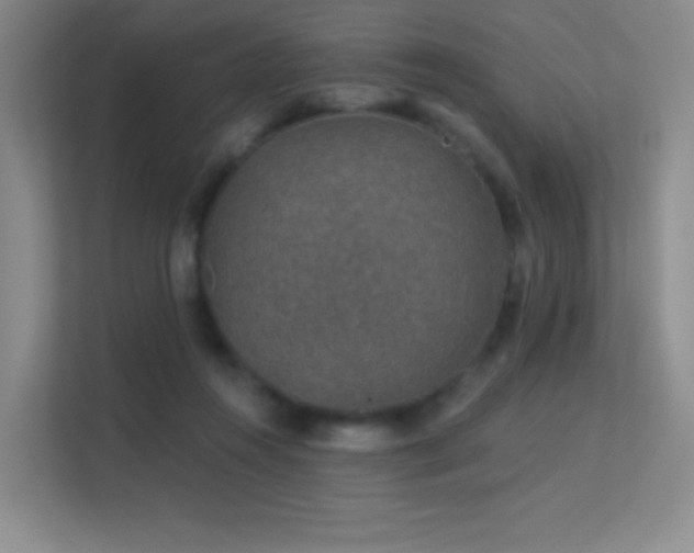 X0000113570360200909251139