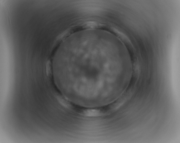 X0000113570361200909251139
