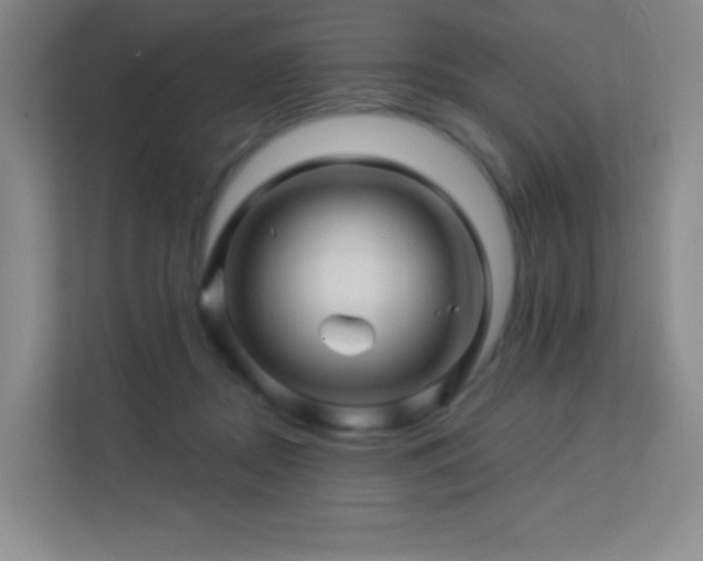 X0000113570362200909251139