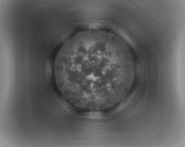 X0000113570363200909251139