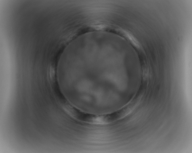 X0000113570365200909251139
