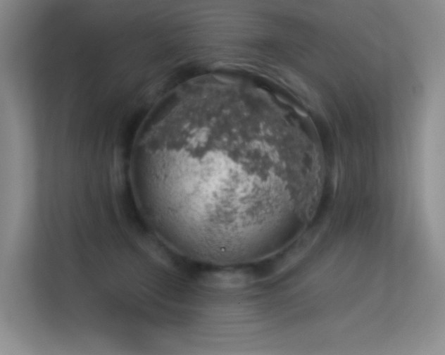 X0000113570366200909251139