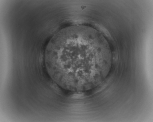 X0000113570369200909251139