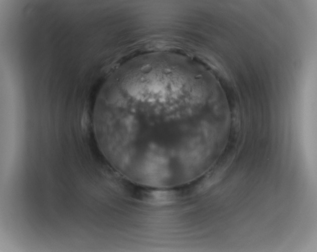 X0000113570371200909251139