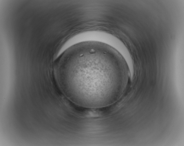 X0000113570372200909251139
