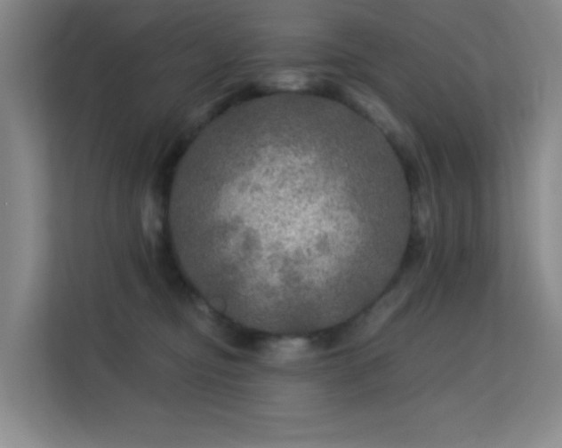 X0000113570374200909251139