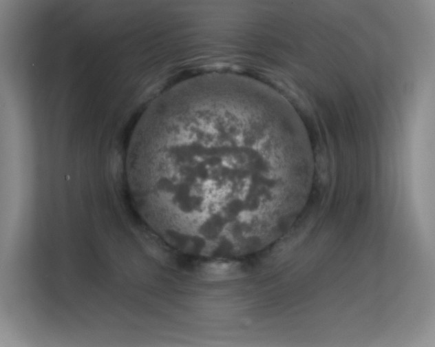 X0000113570375200909251139