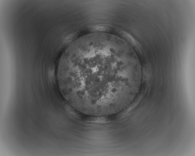 X0000113570377200909251139