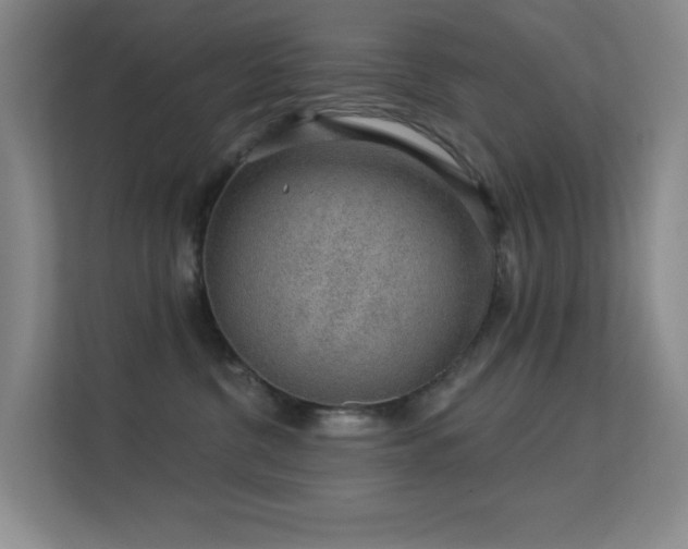 X0000113570380200909251139