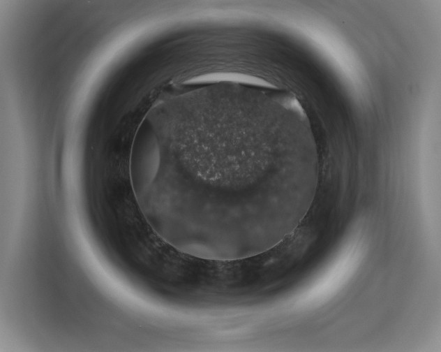 X0000113570383200909251139