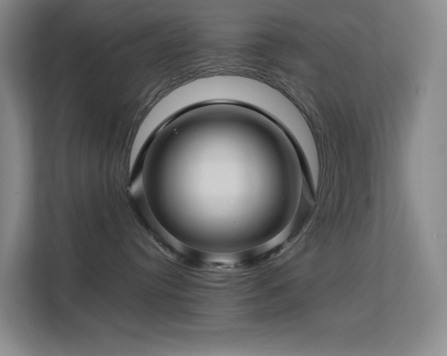 X0000113570384200909251139