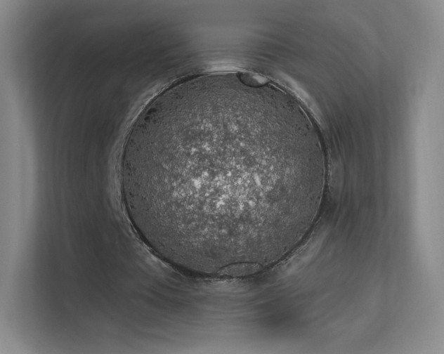X0000113570385200909251139
