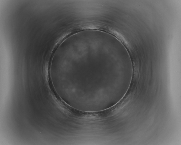 X0000113570386200909251139