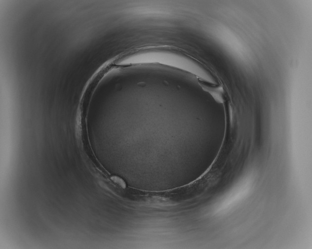 X0000113570387200909251139