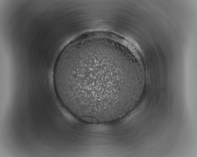 X0000113570389200909251139