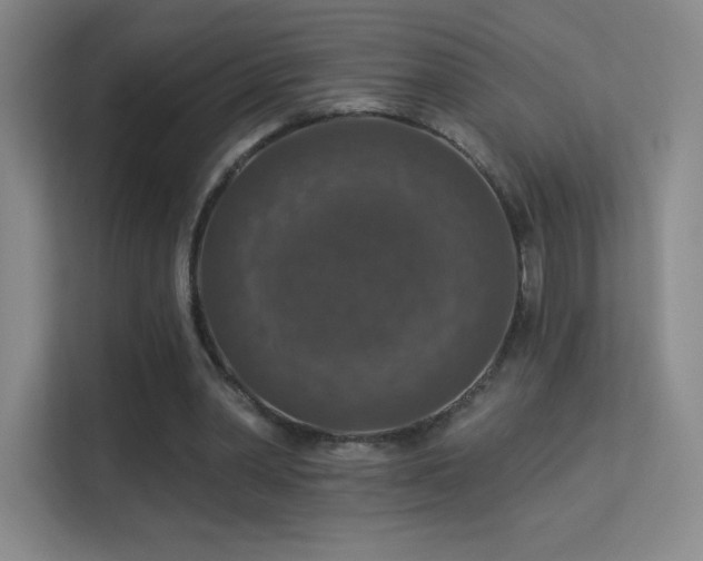 X0000113570390200909251139