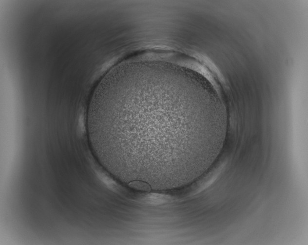 X0000113570393200909251139