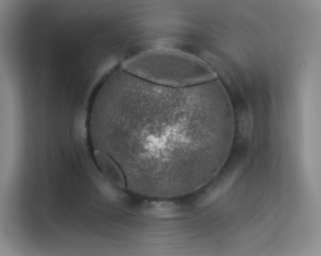 X0000113570395200909251139