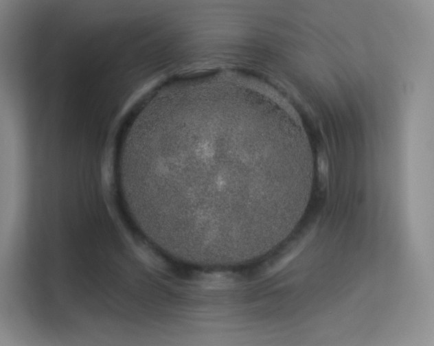 X0000113570396200909251139
