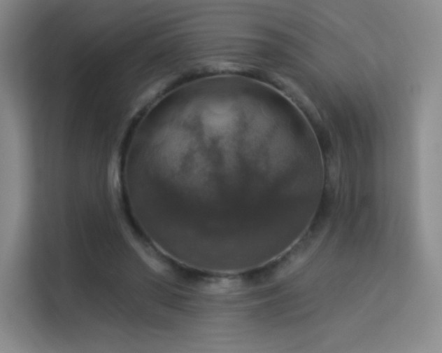 X0000113570398200909251139