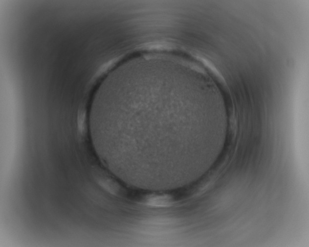 X0000113570403200909251139