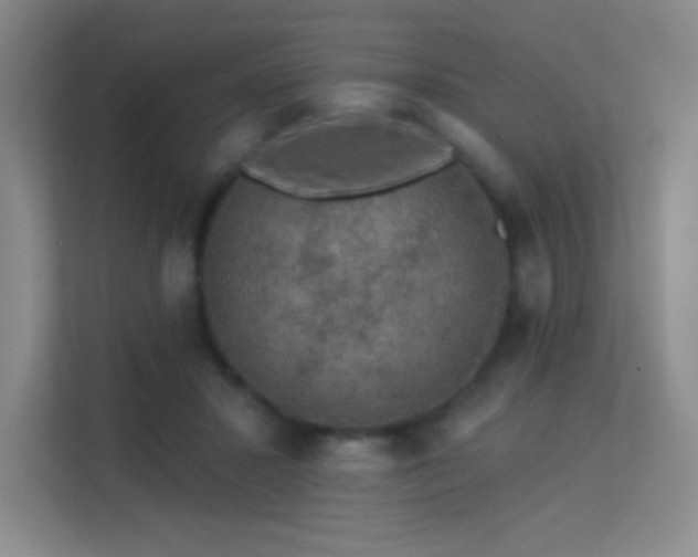 X0000113570407200909251139