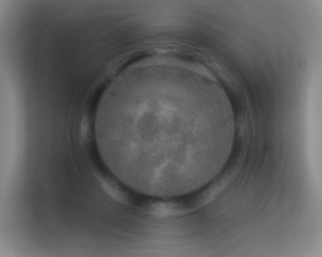 X0000113570408200909251139