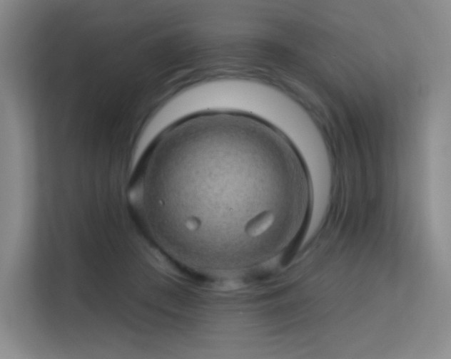 X0000113570409200909251139