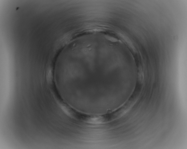 X0000113570410200909251139