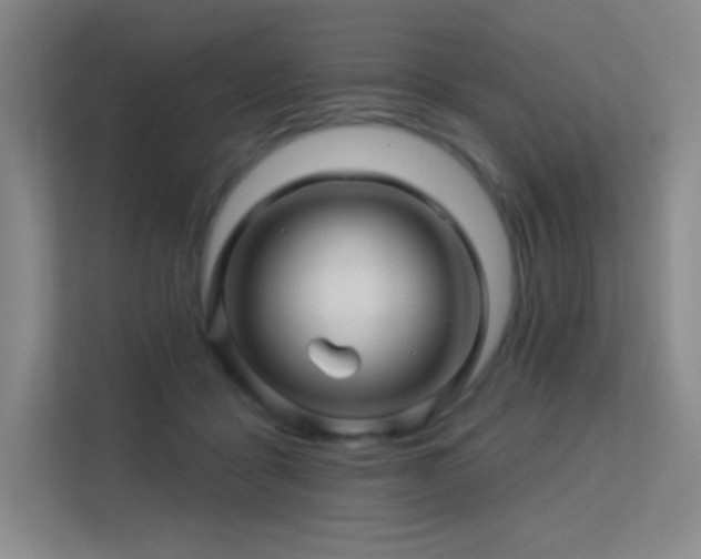 X0000113570411200909251139