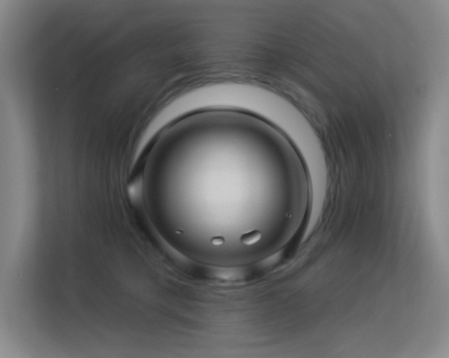X0000113570421200909251138