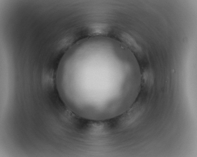 X0000113570423200909251138