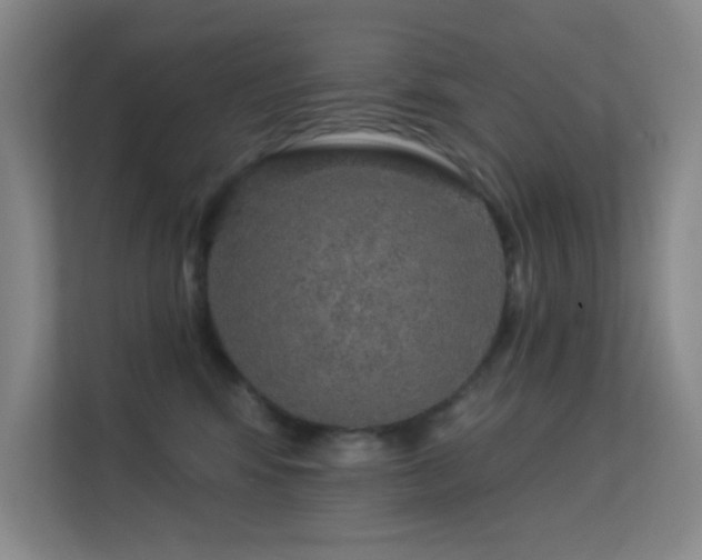 X0000113570424200909251138