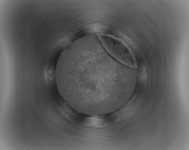 X0000113570425200909251138