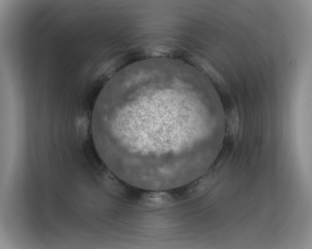 X0000113570427200909251138