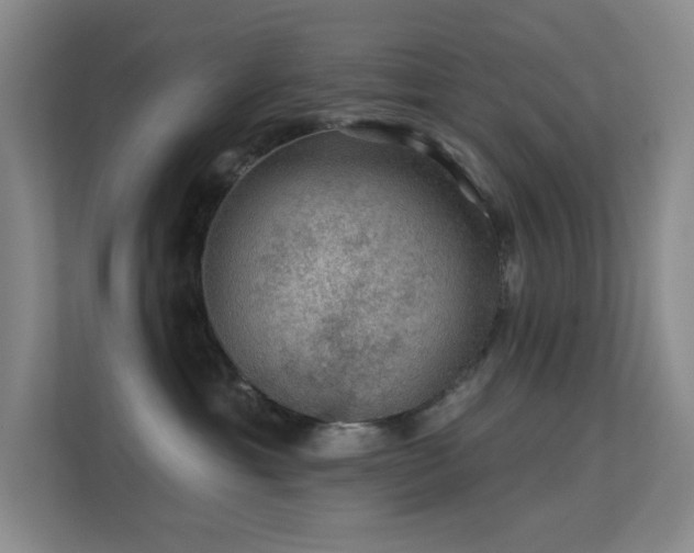 X0000113570429200909251138
