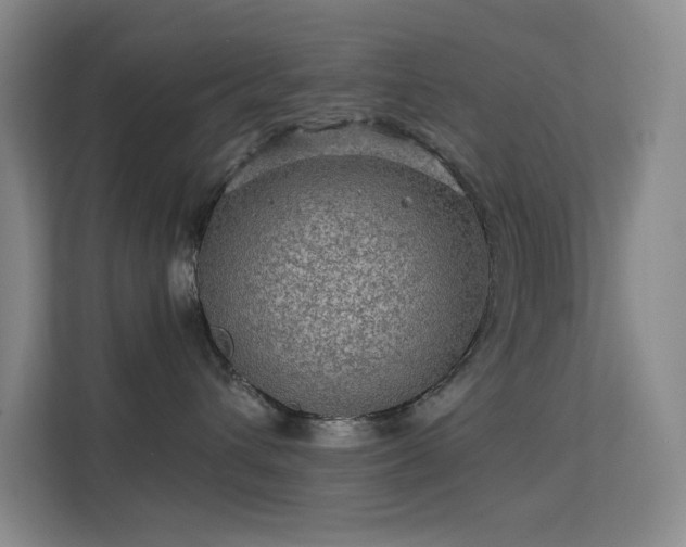 X0000113570432200909251138