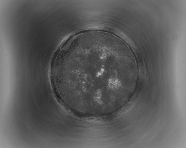 X0000113570434200909251138