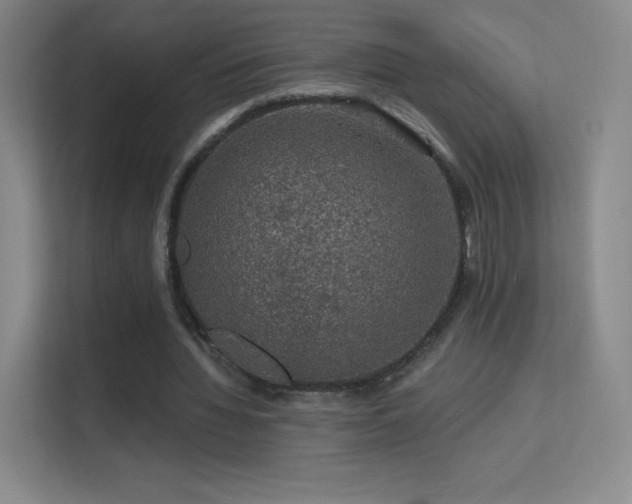 X0000113570436200909251138
