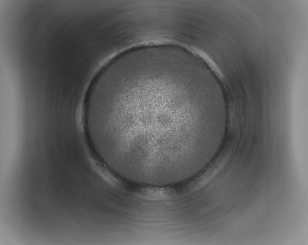 X0000113570439200909251138